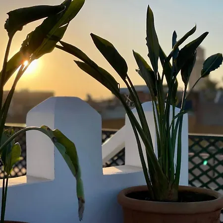 Riad Chafia & Spa-3